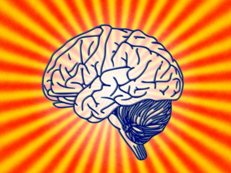 Struggling with Limiting Beliefs? Here’s 3 ways Optimal EFT Can Set You Free